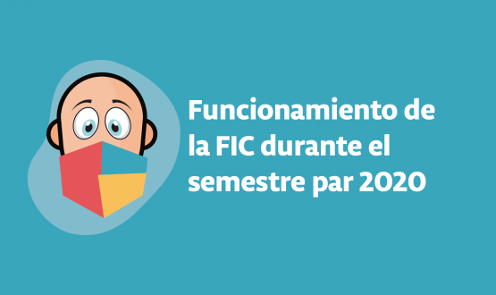 Funcionamiento de la FIC